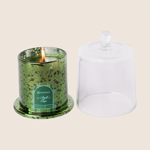 The Smell of Tree - Cloche Candle - 4 EA