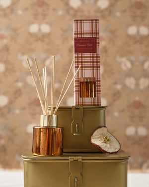 Cinnamon Cider - Plaid Mini Reed Diffuser Set - 6 EA