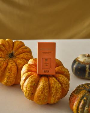 Pumpkin Spice - Pura Refill (boxed) - 6 EA