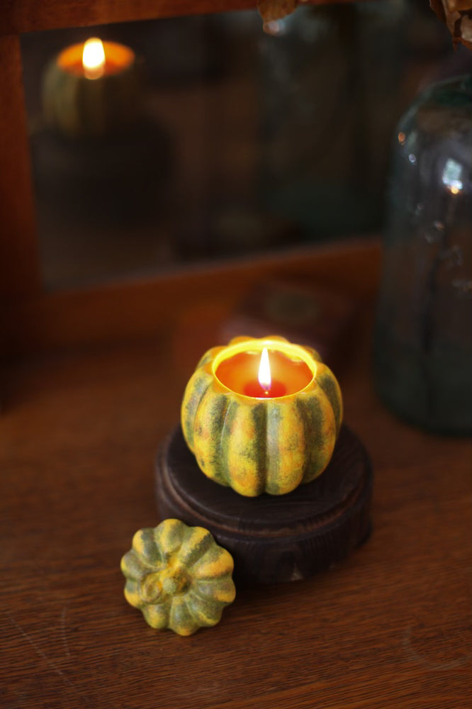 Harvest Gourd Candle - Pumpkin Spice - 6 EA