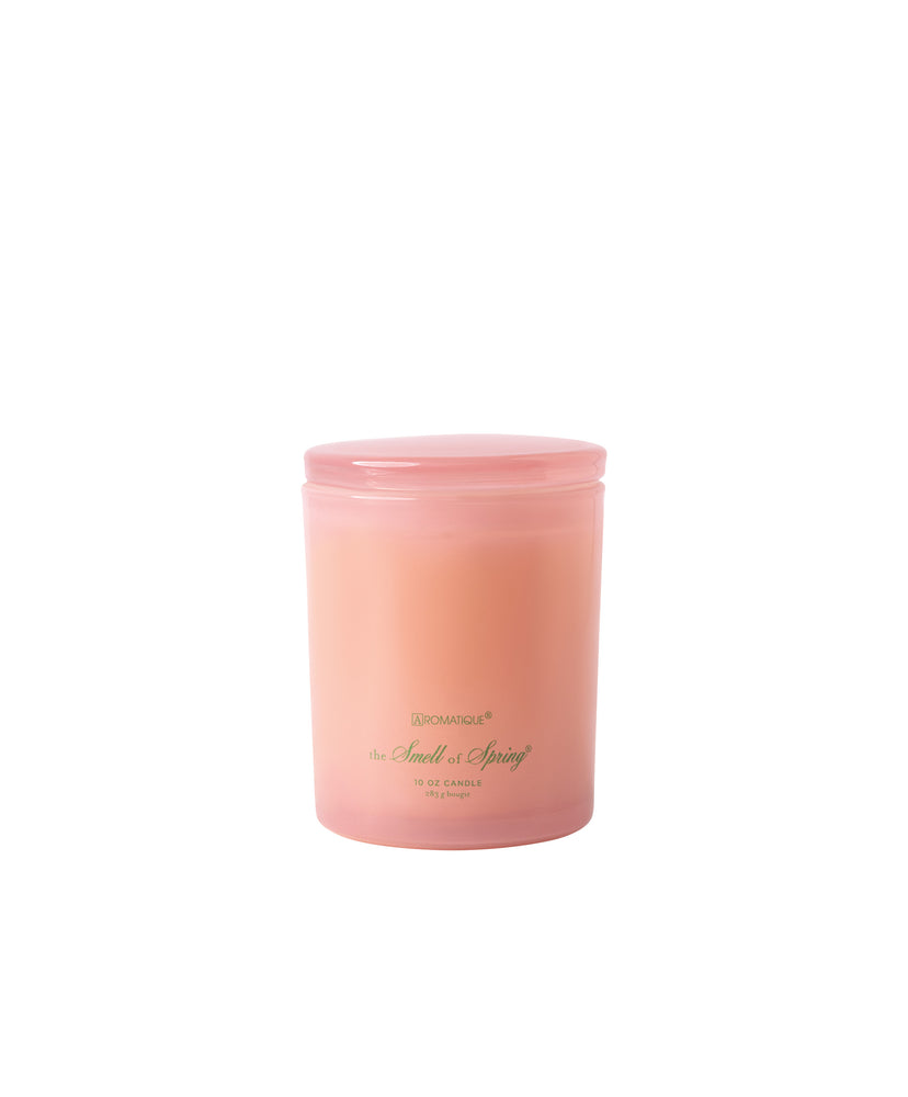 The Smell of Spring - Foundry Candle - 6 EA