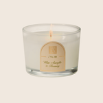 White Amaryllis & Rosemary - Petite Tumbler Glass Candle - 12 EA