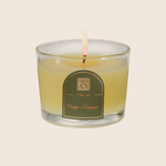 Orange & Evergreen - Petite Glass Tumbler Candle - 12 EA