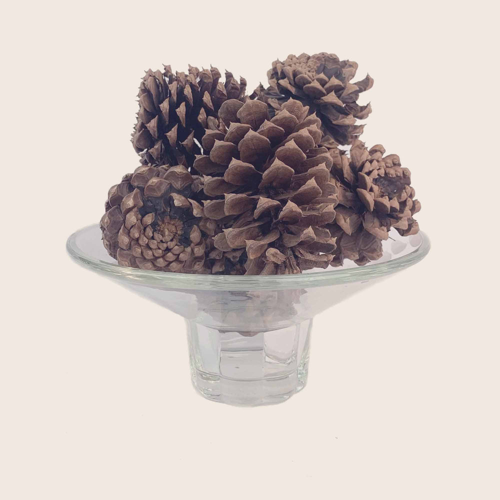 
            
                Load image into Gallery viewer, The Smell Of Tree - Pinecone Bag - 10 EA
            
        