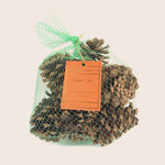 Pumpkin Spice - Pinecone Bag - 10 EA